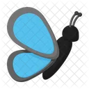 Schmetterling  Symbol