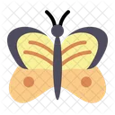 Schmetterling  Symbol