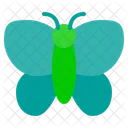 Schmetterling  Symbol