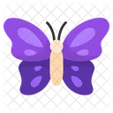 Schmetterling  Symbol