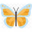 Schmetterling  Symbol