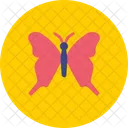 Schmetterling Ostern Insekt Symbol
