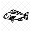 Schnapper Fisch Marine Symbol