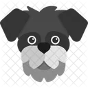 Schnauzer Dog Cute Icône