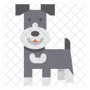 Schnauzer Dog Animal Icon