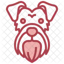Schnauzer  アイコン