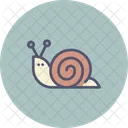 Schnecke Weichtier Trage Symbol