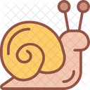 Schnecke Langsam Schale Symbol