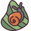 Schnecke  Symbol