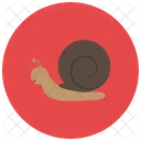 Schnecke  Symbol