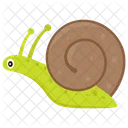 Schnecke Landschnecke Gastropode Icon