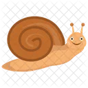 Schnecke Landschnecke Gastropode Icon