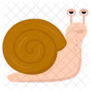 Schnecke Landschnecke Gastropode Icon