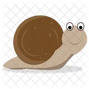 Schnecke Landschnecke Gastropode Icon