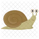 Schnecke Landschnecke Gastropode Icon