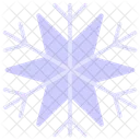 Winter Schnee Schneeflocke Icon