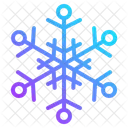 Schneeflocke Winter Eis Kalte Frost Symbol