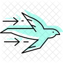 Mauersegler Vogel Fliegen Symbol