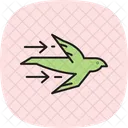 Mauersegler Vogel Fliegen Symbol