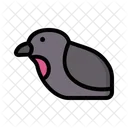 Schnell  Symbol