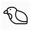 Schnell  Symbol