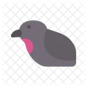 Schnell  Symbol