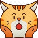 Schockiert Emoticon Katze Icon