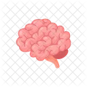 School Brain Human Icon
