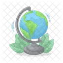 School Globe Earth Globe Icon