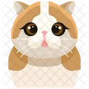 Schottische Faltohrkatze  Symbol