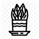 Schreibtisch Pflanze Hybrid Symbol