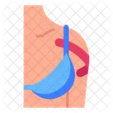 Kinesiotherapie Schulterkinesiologie Kinesio Symbol