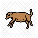 Schwanger Hund Zucht Symbol