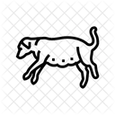 Schwanger Hund Zucht Symbol
