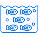 Schwarm  Icon
