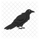 Schwarz Rabe Vogel Symbol