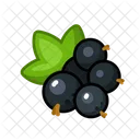 Schwarze Johannisbeere Fruchte Fruite Symbol