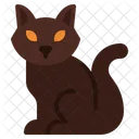 Schwarze Katze  Symbol