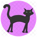 Schwarze Katze  Symbol