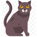 Schwarze Katze  Symbol