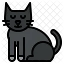 Schwarze Katze  Symbol