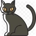 Schwarze Katze  Symbol