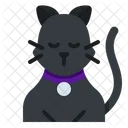 Schwarze Katze  Symbol