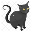 Schwarze Katze  Symbol