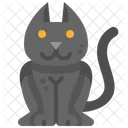 Schwarze Katze  Icon