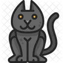 Schwarze Katze  Symbol