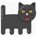 Schwarze Katze  Symbol
