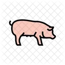 Schwein  Symbol