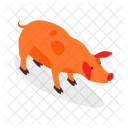 Schwein Bauernhof Tier Icon