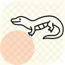 Scinque A Langue Bleue Scinque A Langue Bleue Reptile Icône